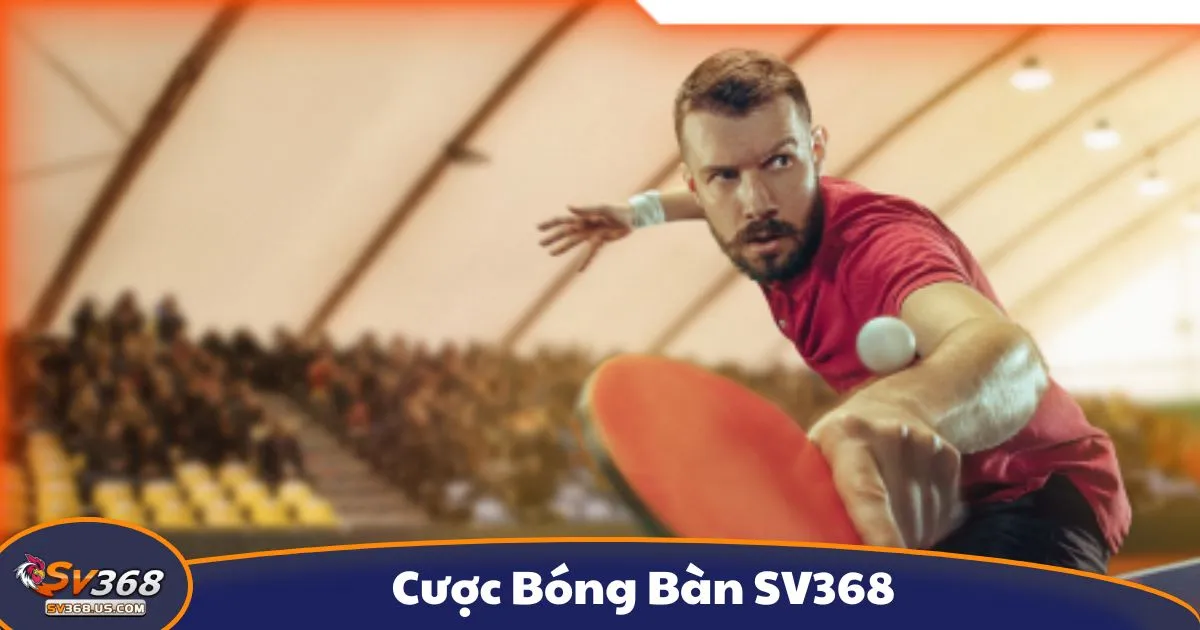Cược bóng bàn là gì? Giới thiệu hình thức cá cược tại SV368