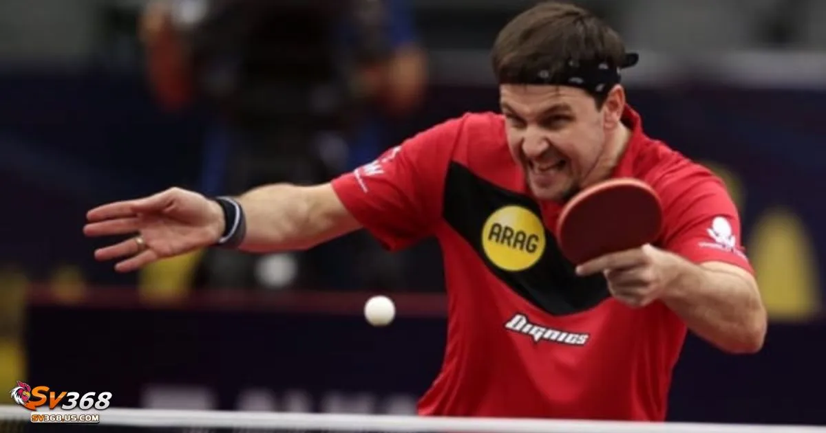 Cược Bóng Bàn SV368 - Kèo cược người thắng trận – Phân tích phong độ tay vợt trước trận