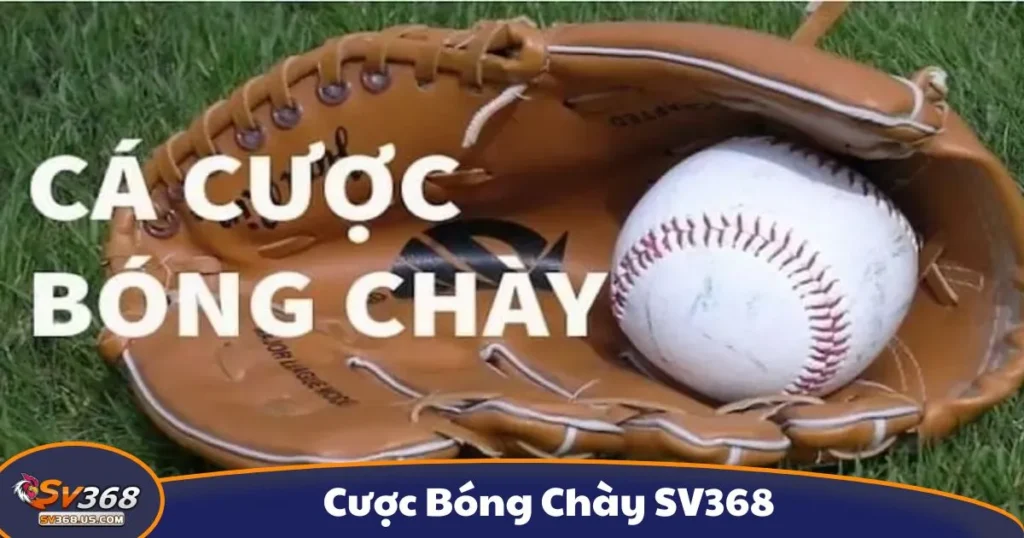 Cược Bóng Chày SV368 - Hướng Dẫn Cá Cược Thể Thao Mỹ