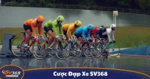 Cược Đạp Xe SV368 - Cách Cá Cược Giải Đua Xe Đỉnh Cao