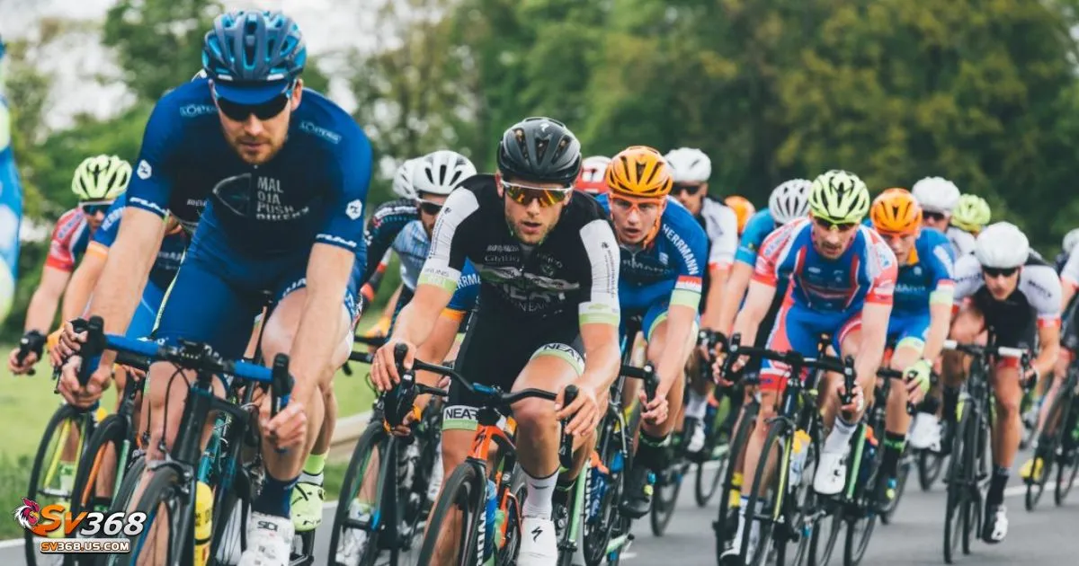Cược Đạp Xe SV368 - Tại sao cá cược đua xe đạp lại thu hút?