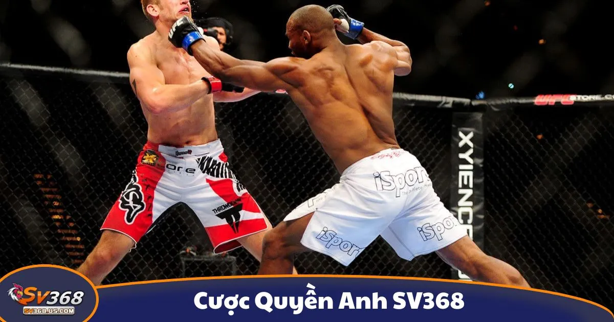 Cá cược quyền anh là gì? Giới thiệu hệ thống cược tại SV368