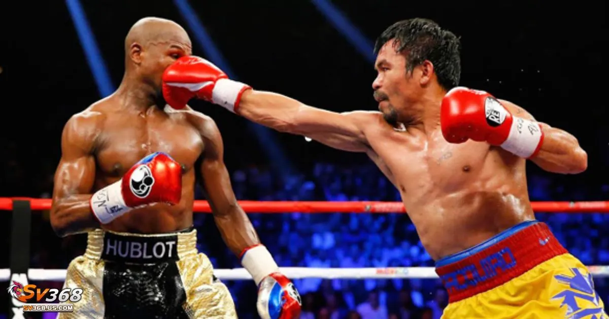 Kèo thắng trận – Cách phân tích phong độ của võ sĩ trước trận