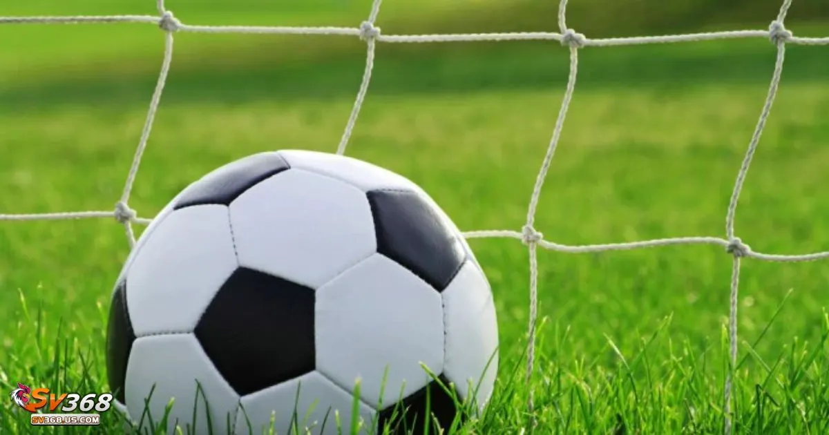 Kèo Chấp 1/2 SV368 - Khi đội cửa trên thắng – Nhận đủ tiền cược