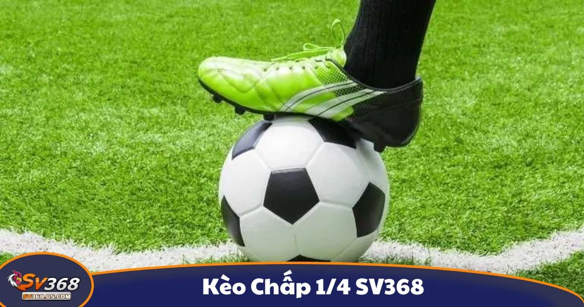Kèo chấp 1/4 là gì? Giới thiệu kèo cược phổ biến tại SV368