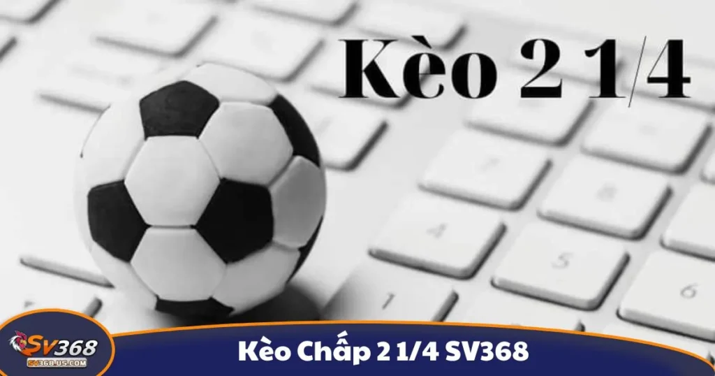 Kèo Chấp 2 1/4 SV368 - Cách Đọc Kèo Và Cách Đặt Cược