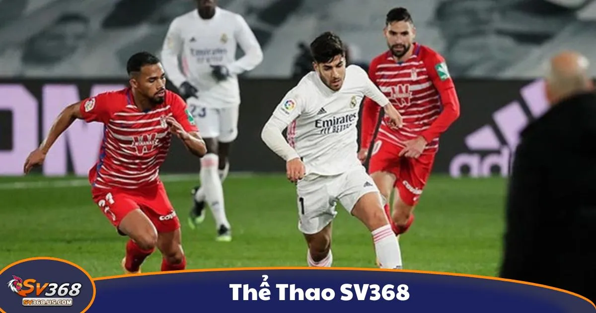 Mẹo Soi Kèo Thể Thao SV368 Để Tăng Cơ Hội Chiến Thắng