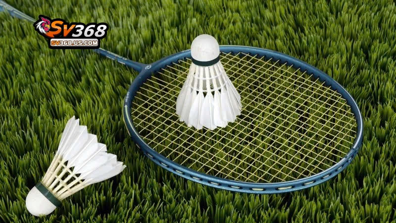 Cầu lông thu hút hàng triệu lượt chơi mới mỗi năm