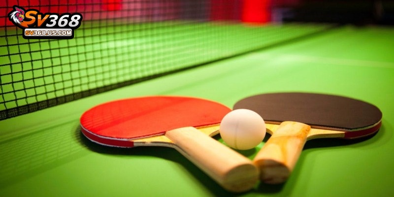  Bóng Bàn SV368