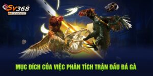 Mục đích của việc phân tích trận đấu đá gà