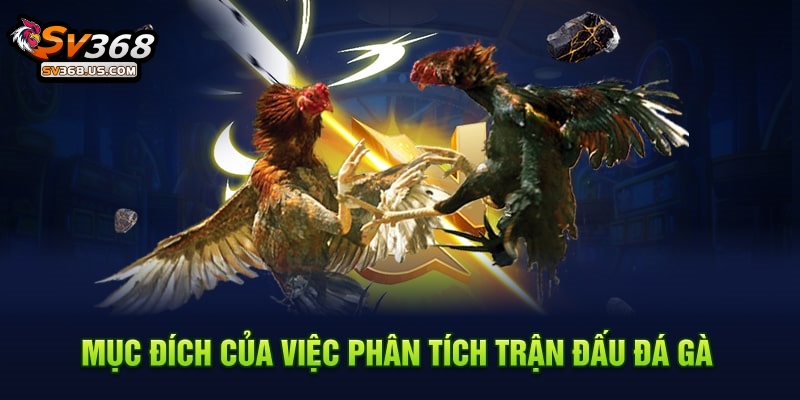 Cập Nhật Thủ Thuật Phân Tích Trận Đấu Đá Gà Hiệu Quả Tại SV368 Hấp Dẫn 3 Mục đích của việc phân tích trận đấu đá gà