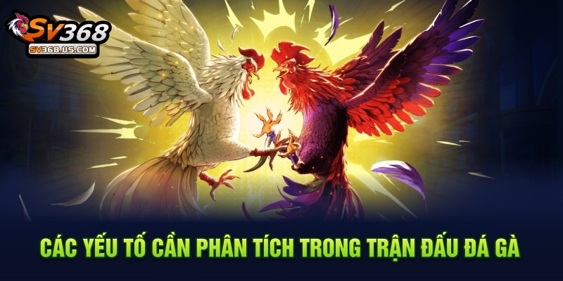 Cập Nhật Thủ Thuật Phân Tích Trận Đấu Đá Gà Hiệu Quả Tại SV368 Hấp Dẫn 4 Các yếu tố cần phân tích trong trận đấu đá gà