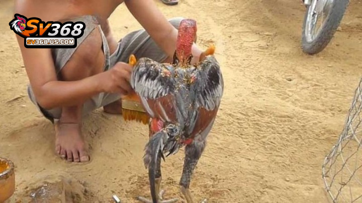 Vào nghệ với tần suất phù hợp để mang lại hiệu quả cao